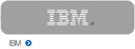 ѱ IBM 